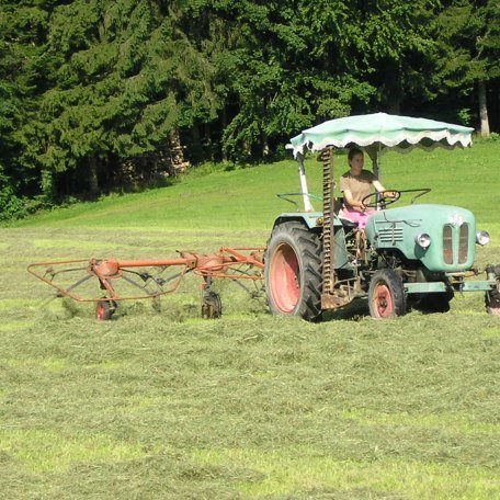 Heuernte für die Heumilch der NaturkäsereiTegernseerLand, © im-web.de/ Tourist-Information Gmund am Tegernsee