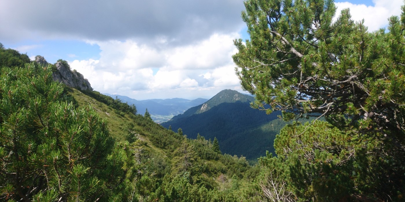 bergtour-3_1