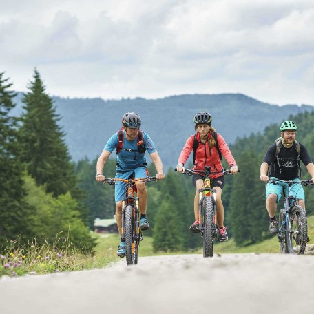 Radwege und geführte Radtouren finden Sie am wunderschönen Tegernsee., © im-web.de/ Tourist-Information Rottach-Egern