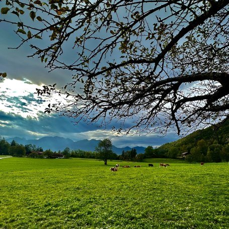 11, © Chrissy Dorn 11, © Chrissy Dorn