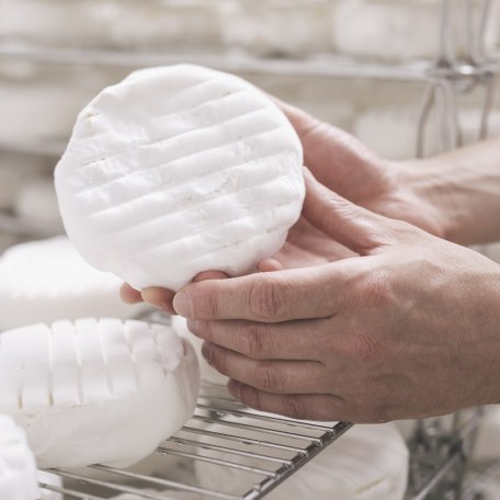 083_produktion_f9a4094_lay_1