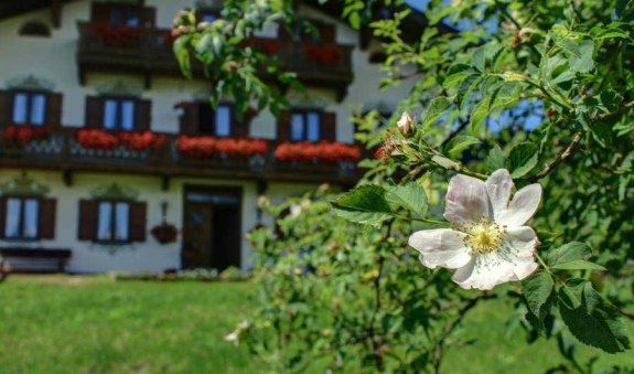 Natur pur, © im-web.de/ Tourist-Information Bad Wiessee