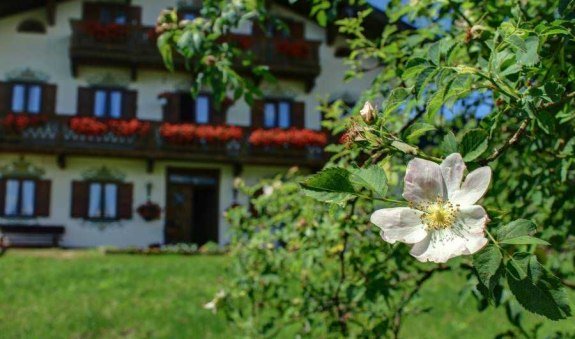 Natur pur, © im-web.de/ Tourist-Information Bad Wiessee