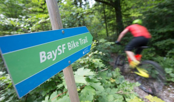 Mtb Trail in Kreuth, © Alpenregion Tegernsee Schliersee