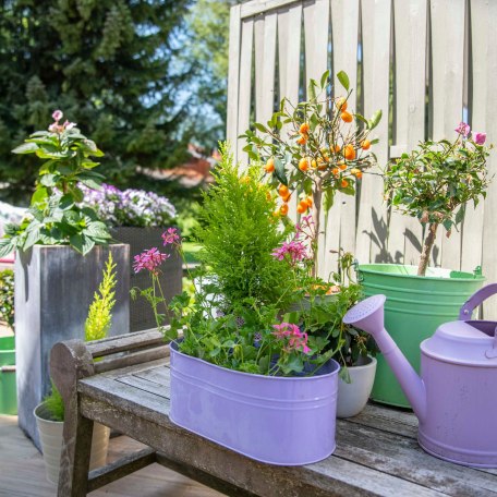 Garten, © im-web.de/ Tourist-Information Rottach-Egern