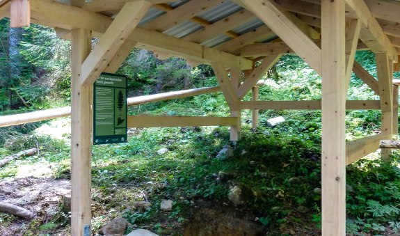 bodenerlebnispfad025