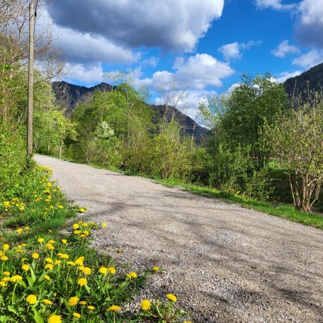 Baumpfad Rottach-Egern, © DER TEGERNSEE Baumpfad Rottach-Egern, © DER TEGERNSEE