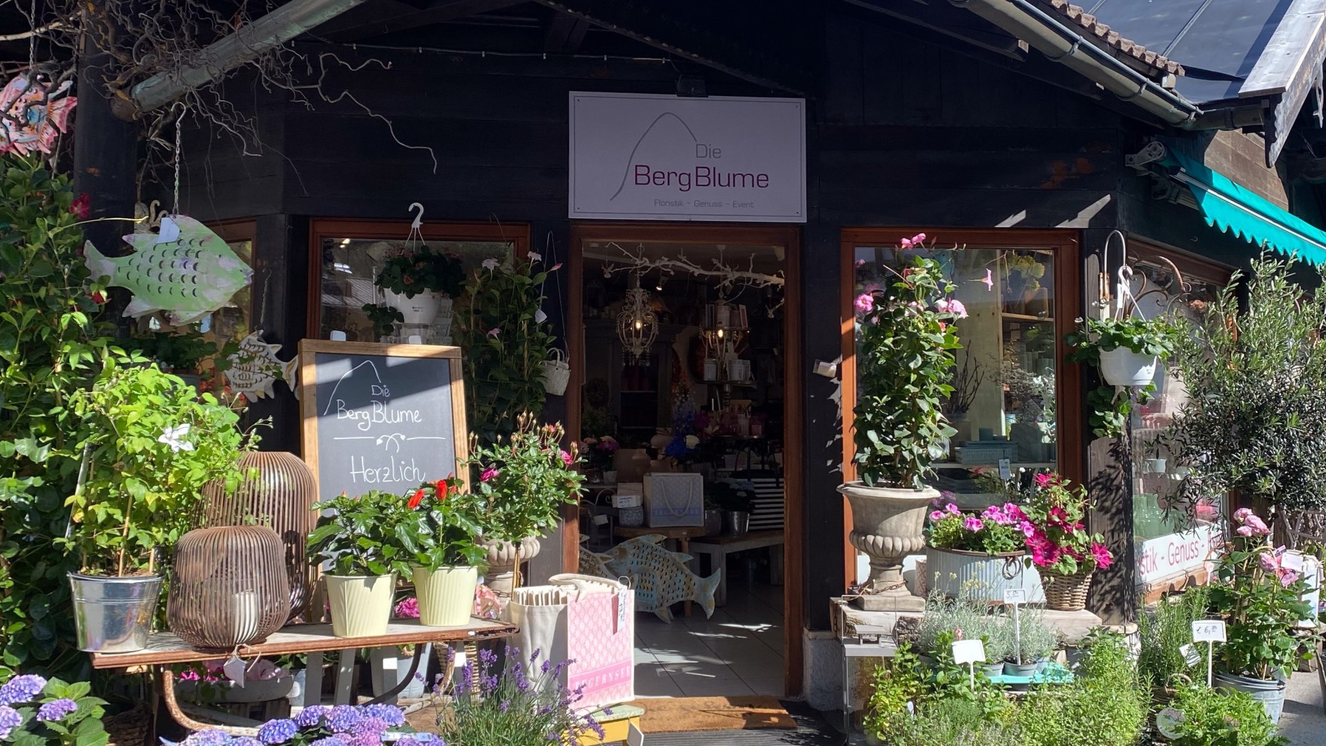 BergBlume_Hochformat_&copy;FVP_001, &copy; Der Tegernsee (Fidelis v. Preysing)