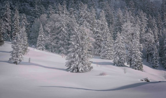 Vom Hennerer zum Bodenschneidhaus, © Alpenregion Tegernsee Schliersee