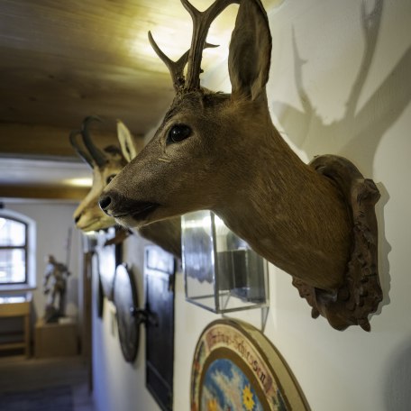 Troph&auml;e, &copy; Dietmar Denger