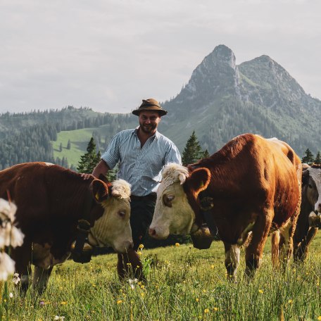 Streicheleinheit für die Kuh, © Jana Lämmerer