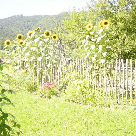 Gemüsegarten mit Blumeneinfassung, © im-web.de/ Tourist-Information Kreuth