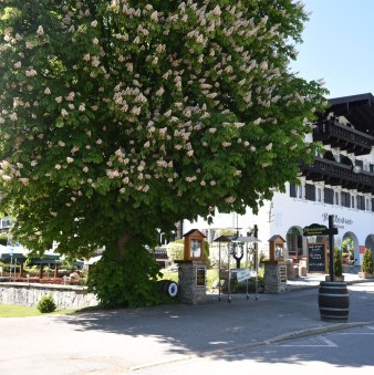 &copy; Der Tegernsee