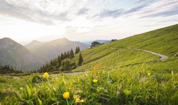 Sommerfrische, © Dietmar Denger Sommerfrische, © Dietmar Denger