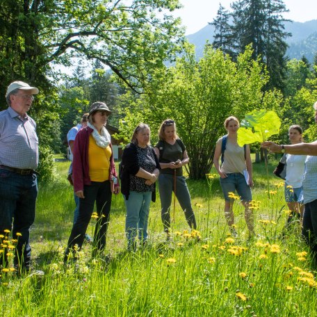Kraeuterwanderung © Der Tegernsee, Thomas Plettenberg (2), © Der Tegernsee, Thomas Plettenberg