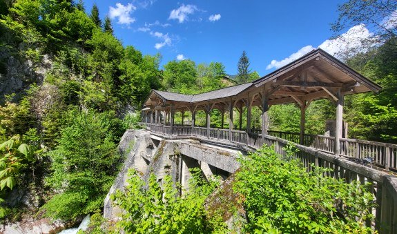 20250519_152219 20250519_152219