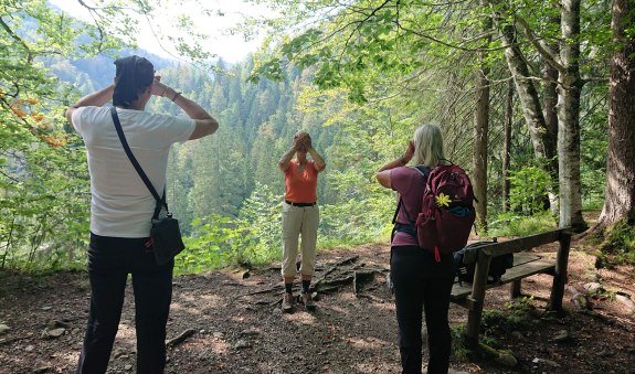 Augenwandern, © Sabine Nagl