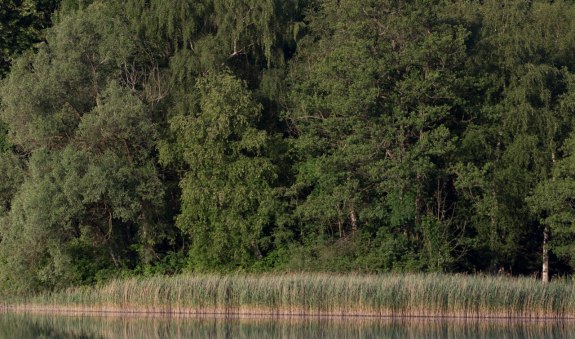 Barrierefreier Wanderweg um den Suttensee, © Alpenregion Tegernsee Schliersee