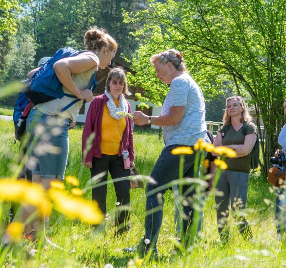 Kräuterwanderung, © Der Tegernsee (Thomas Plettenberg) Kräuterwanderung, © Der Tegernsee (Thomas Plettenberg)