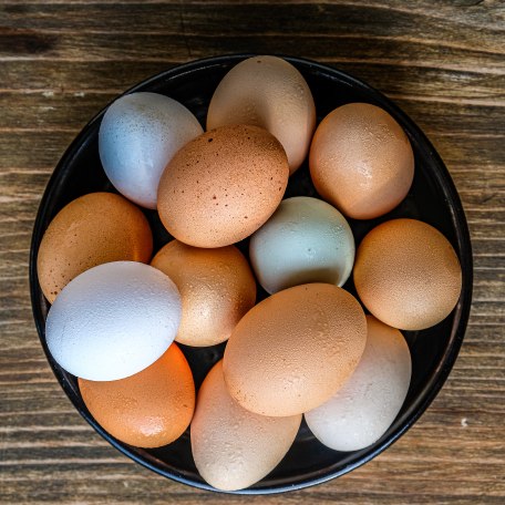 Eier von glücklichen Hühner am Tegernsee, © Anya Rüngeler