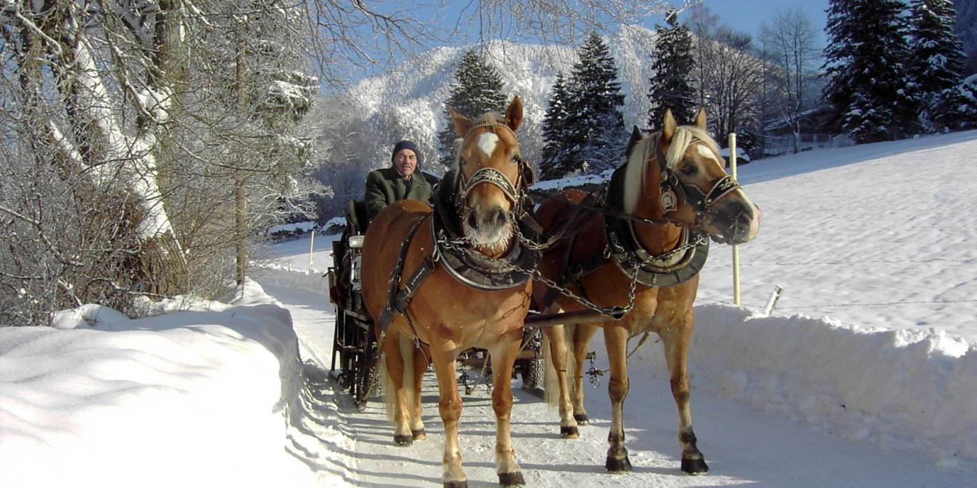 pferdeschlitten-adlbert_01 pferdeschlitten-adlbert_01