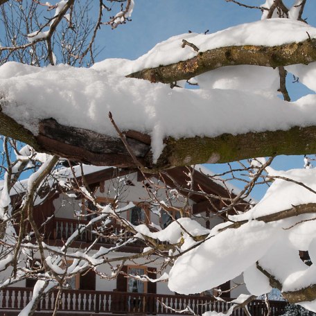 G&auml;stehaus H&ouml;pfl - Winterm&auml;rchen in ruhiger und sonniger Lage am Fusse des Wallbergs, &copy; GERLIND SCHIELE PHOTOGRAPHY TEGERNSEE