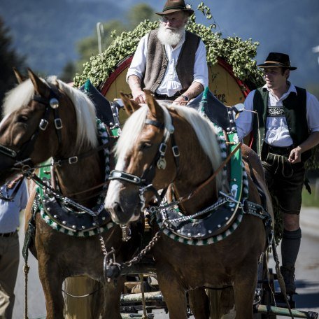 Rosstag Rottach Egern, © Hansi Heckmair