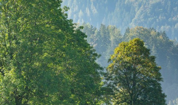 Leitzachtalrunde (Tour Nr. 13 aus dem "RadlTraum Süd"), © Alpenregion Tegernsee Schliersee