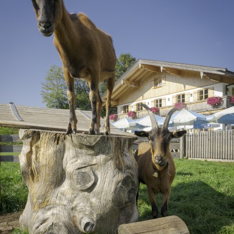 Naturkäserei Kreuth, © Der Tegernsee, Dietmar Denger