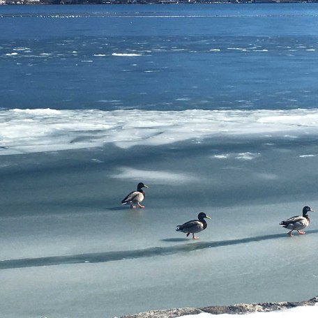 Tegernsee im Winter, © im-web.de/ Tourist-Information Bad Wiessee