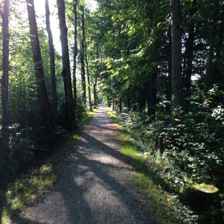 IMG_3500, &copy; Florian Hornsteiner