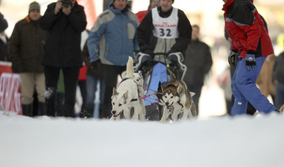 seevents_hundeschlitten