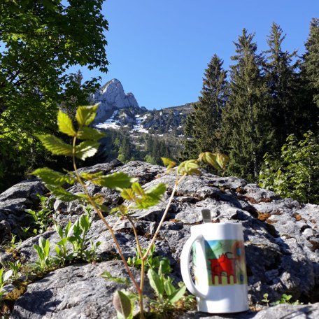 Buchsteinhütte