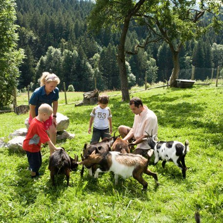 Kinderferienprogramm - Streichelzoo, © Bernd Ritschel