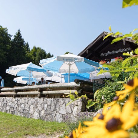 galaun002, © Thomas Müller