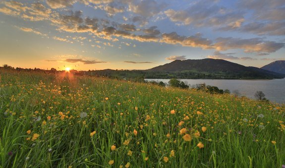 TTT_0514_EK_Ort_Fr&uuml;hling_Gmund-0007, &copy; TTT-Egbert Krupp