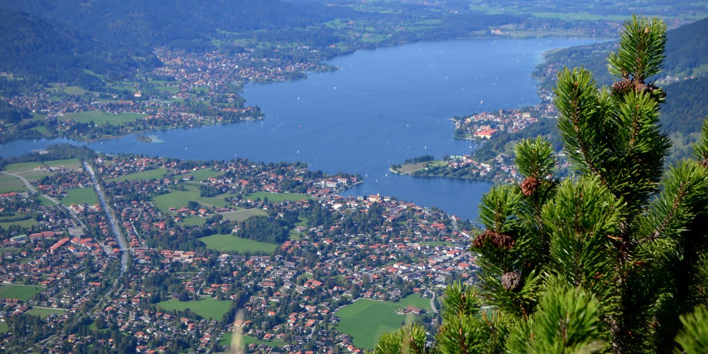 dsc_2769_1 dsc_2769_1