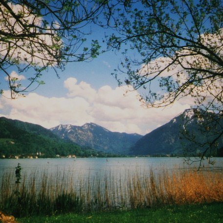 Blick von der Bad Wiesseer Seepromenade aus auf den Wallberg, © im-web.de/ Tourist-Information Bad Wiessee