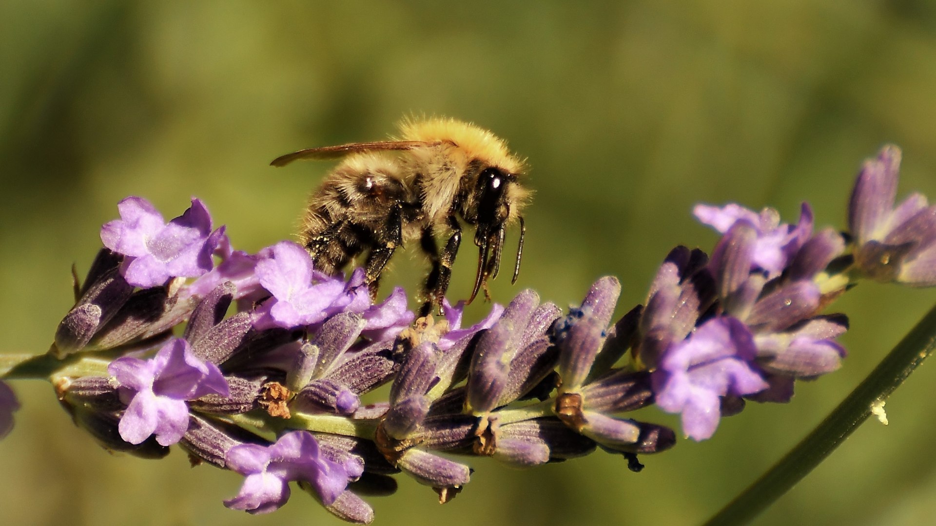 Lehr- und Erlebnisgarten, &copy; pronatur