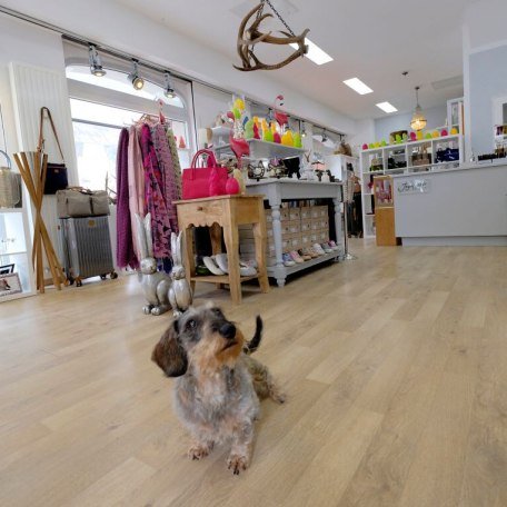 Jagdfieber Rottach-Egern, &copy; Jagdfieber