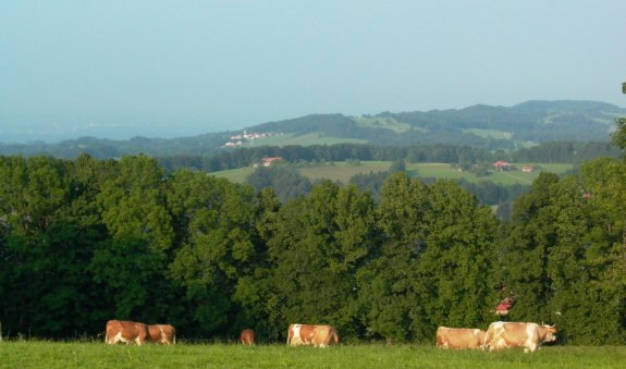 Blick vom Stadlberg, &copy; Alpenregion Tegernsee Schliersee
