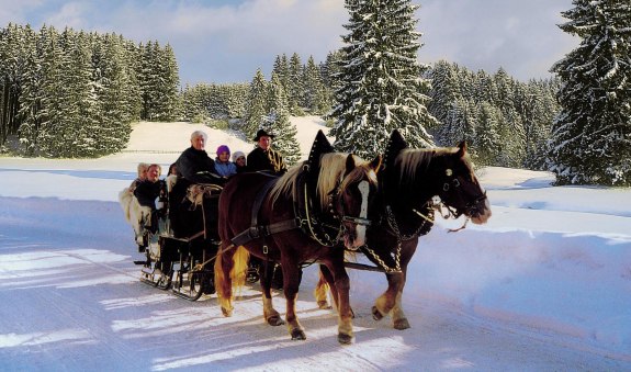 pferdekutsche_maier_quer