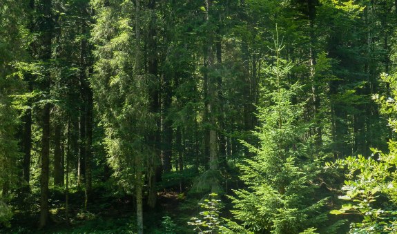 bodenerlebnispfad020