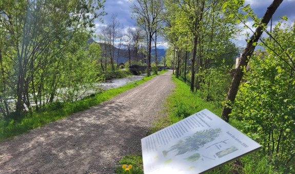 Baumpfad Rottach-Egern, © DER TEGERNSEE