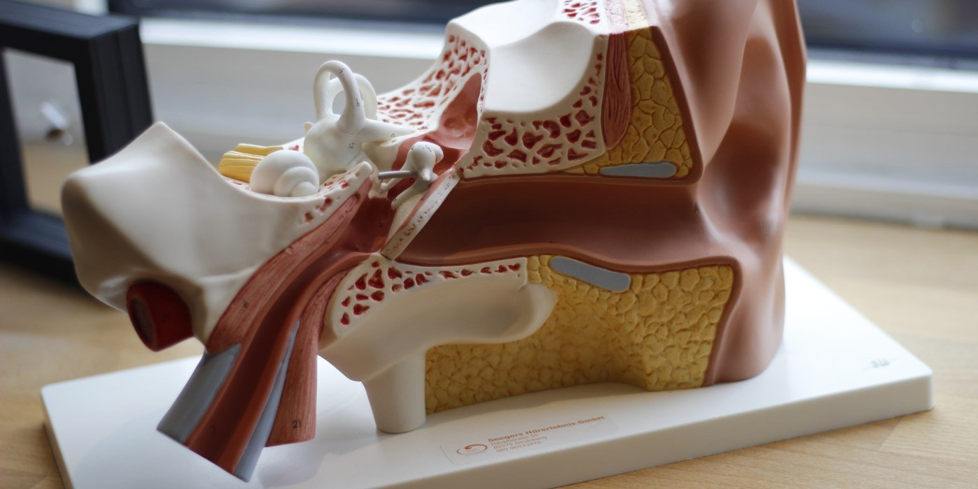 mg_0585, &copy; Seegers H&ouml;rerlebnis