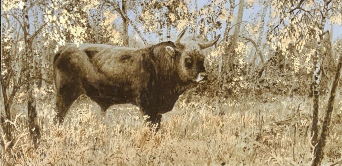 Werner Härt.1, © Werner Härtl