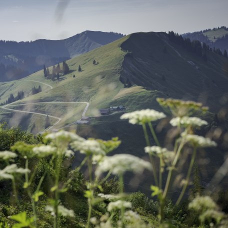 Bergsteigerdorf Kreuth Landschaft Wallberg , © Dietmar Denger 