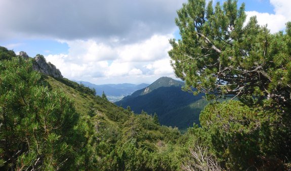 bergtour-3_1