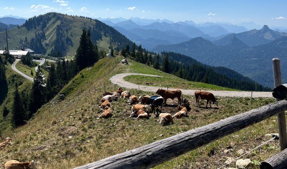 Tag-der-offenen-Alm-Tür-Wallbergbahn, © Julia Keck Tag-der-offenen-Alm-Tür-Wallbergbahn, © Julia Keck