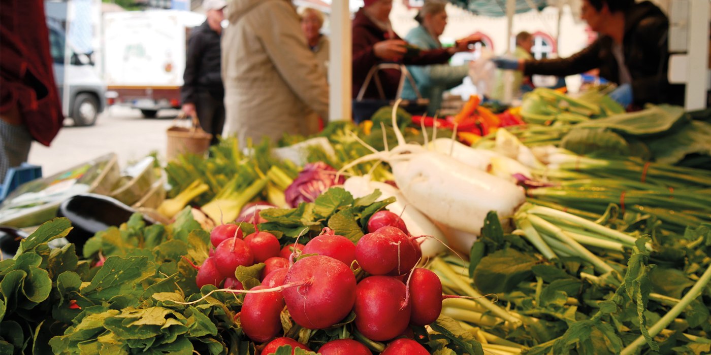 Gmunder Wochen- und Bauernmarkt EKF Gmunder Wochen- und Bauernmarkt EKF